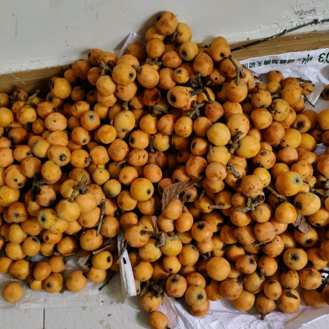 承接大中小型防水工程，肖宇泽