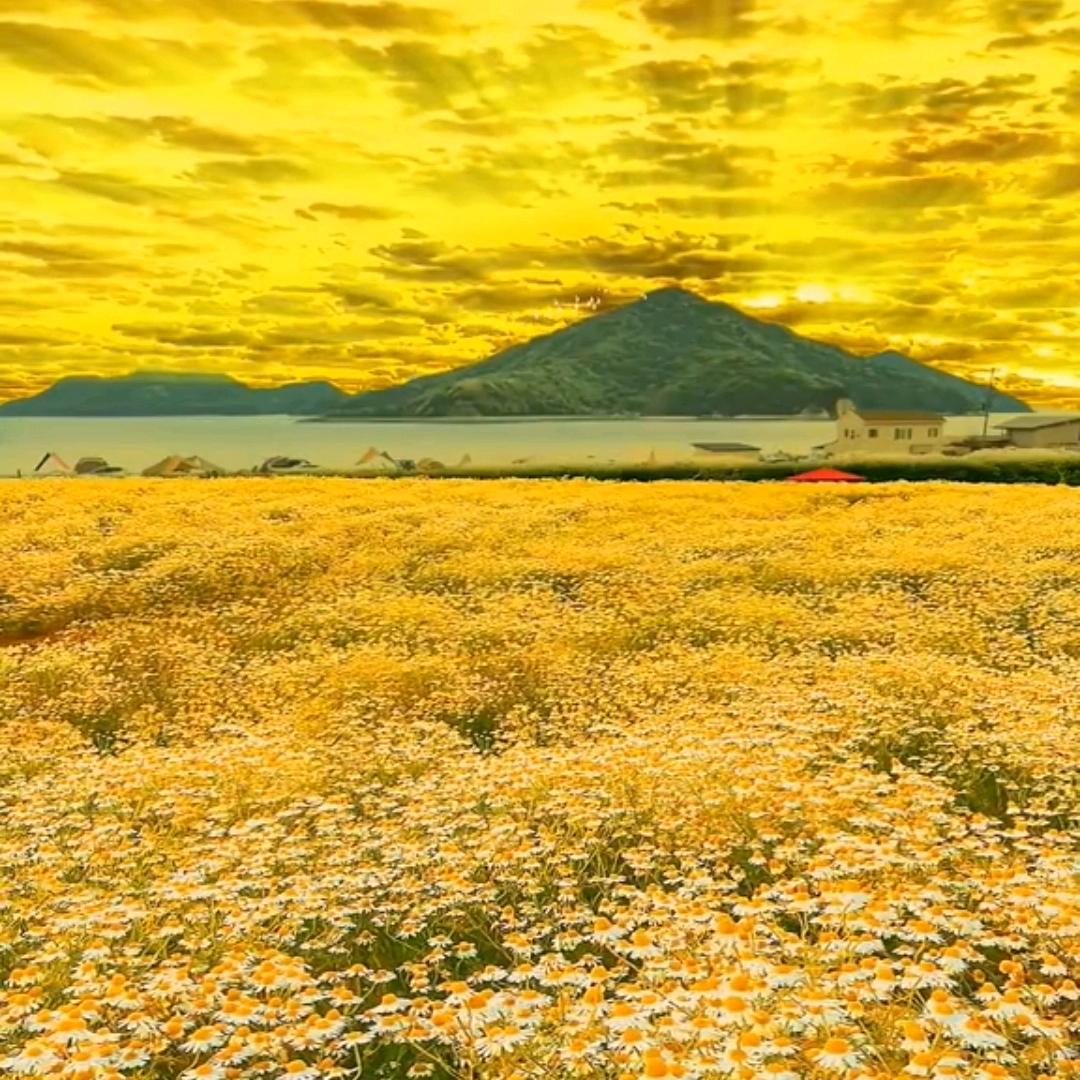比去年又大了一岁