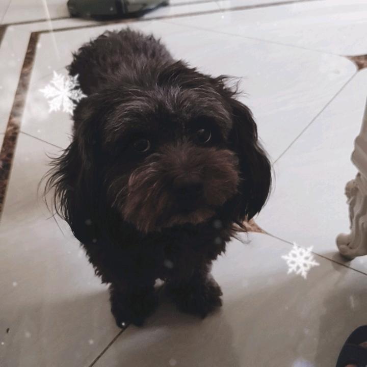 名鑫🉑🉑💗💗