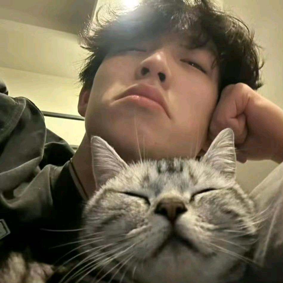 加菲不是猫.