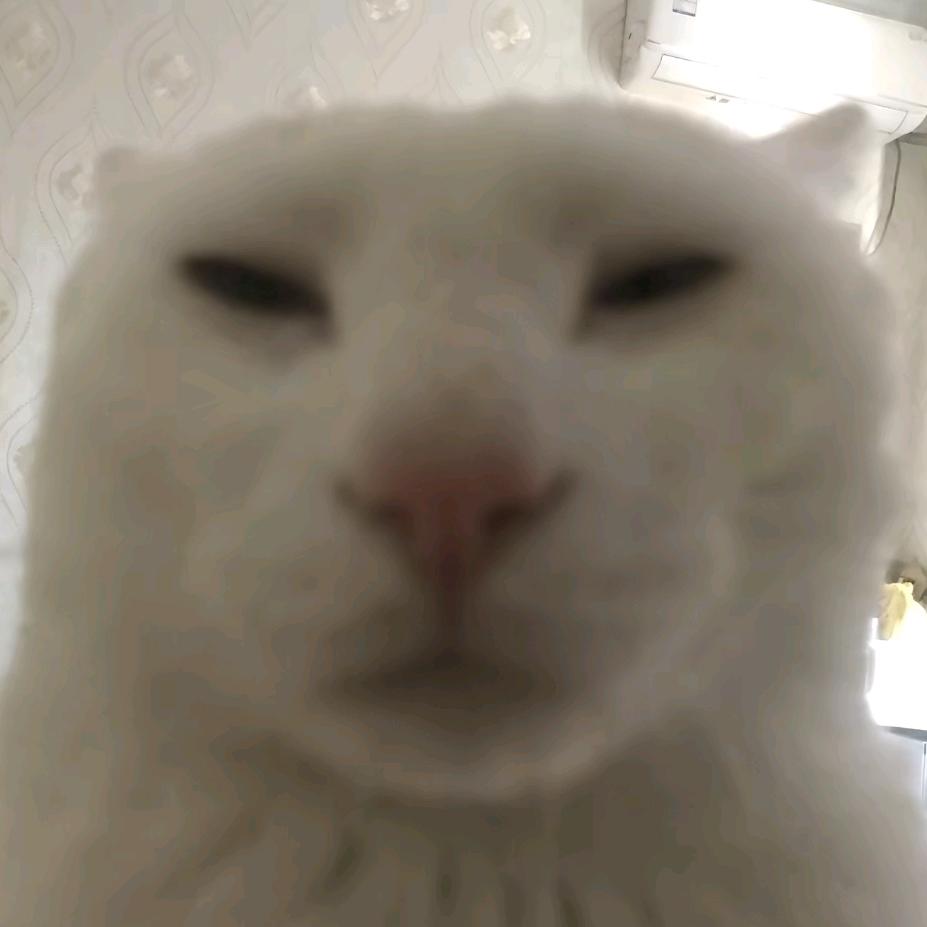 乙太的西兰花