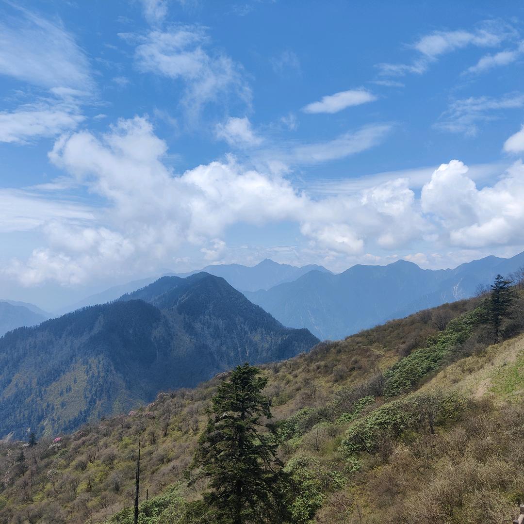 沉心静气