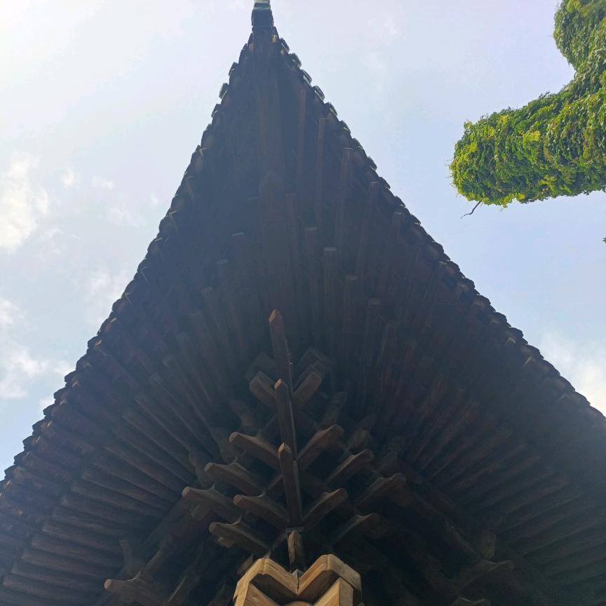 大风吹段誉家
