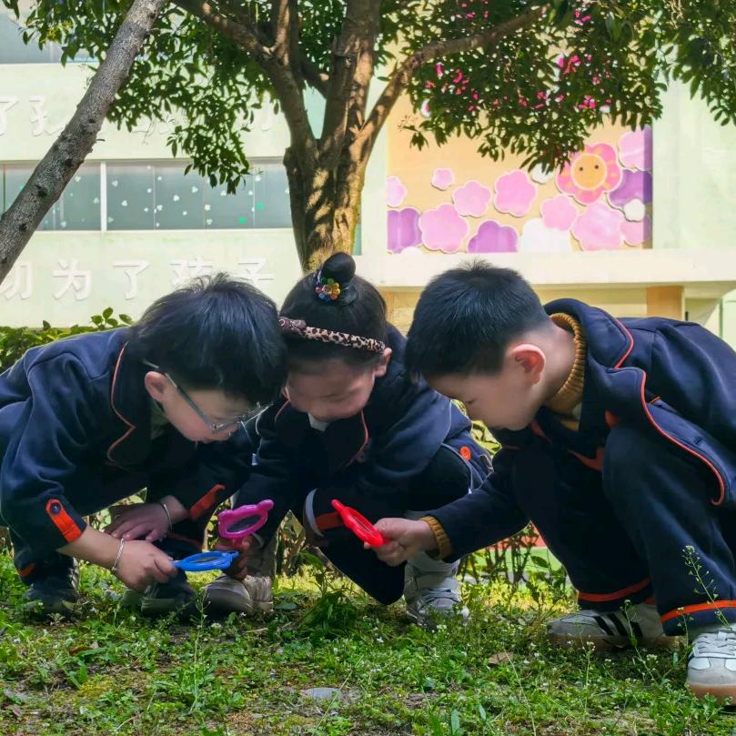 彭州金贝Tina老师