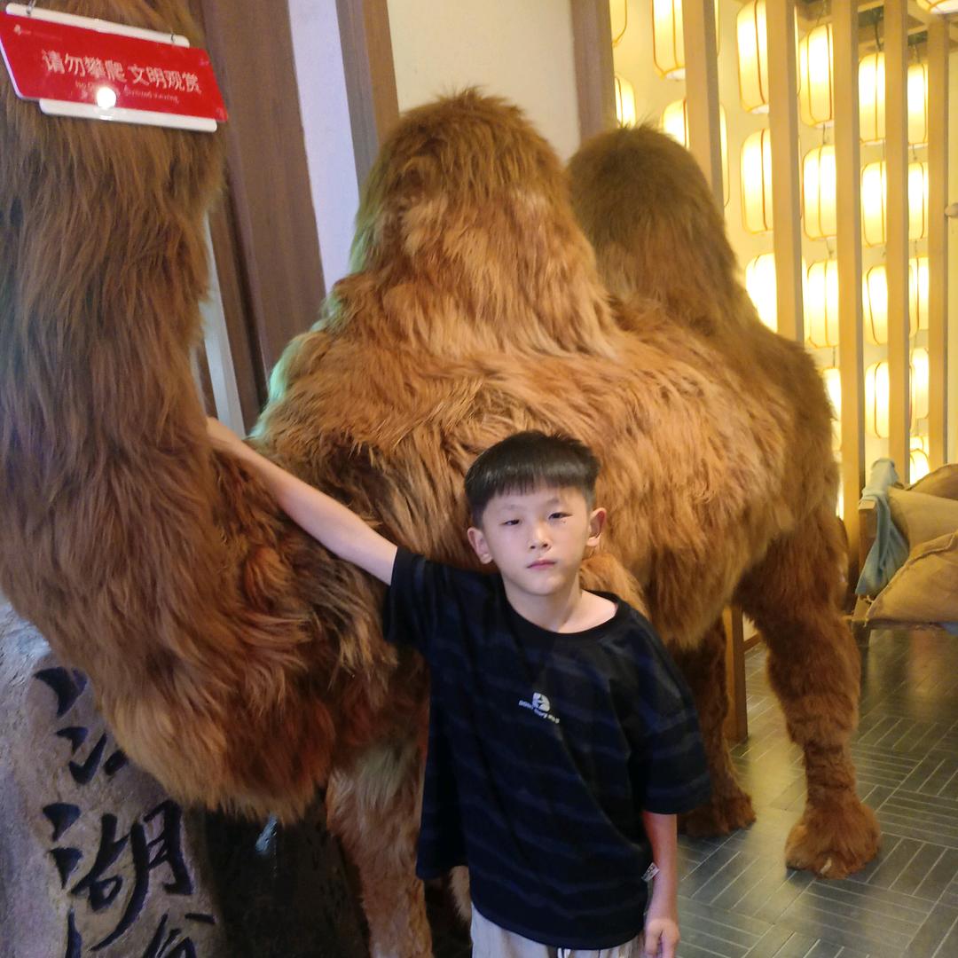 健康快乐每一天！