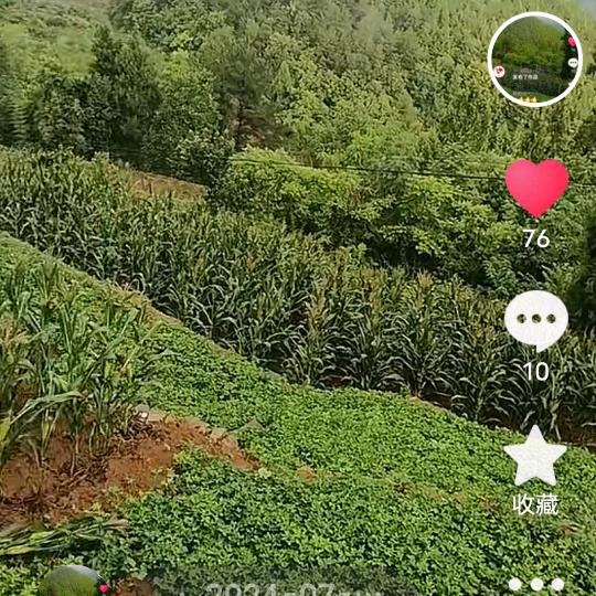 w哥，，，，，，