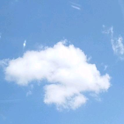 一生只爱雪宝🌹913