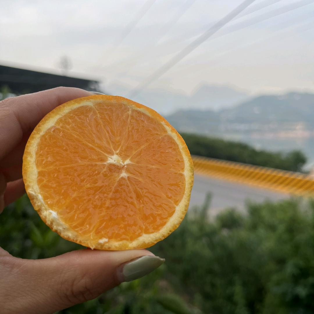 源气果铺（应季限量）