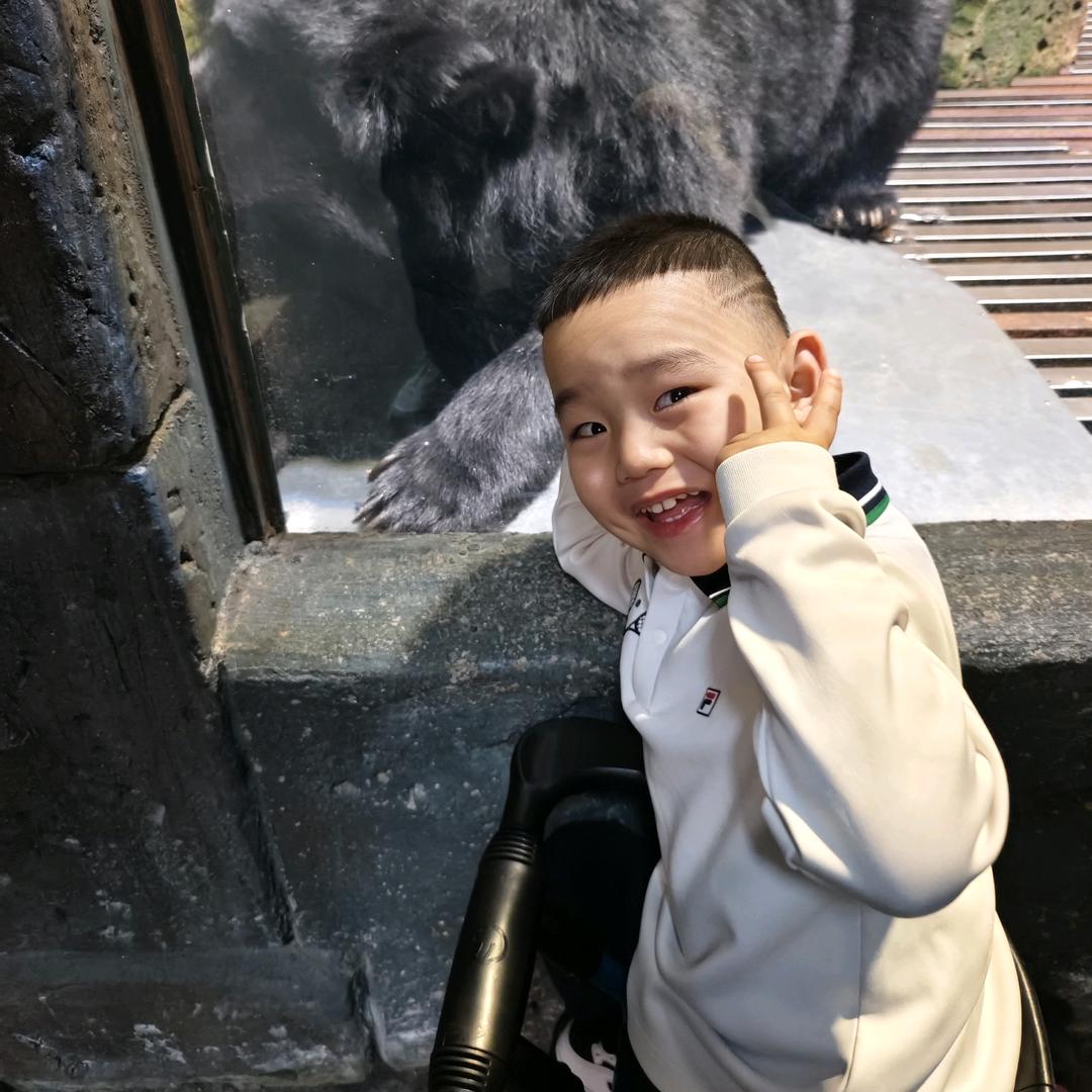 小宝检车