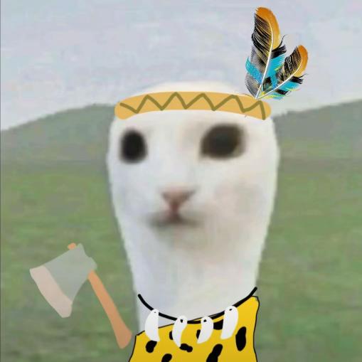 Dong鲨