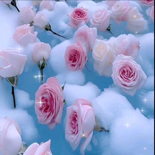 花仙🌹