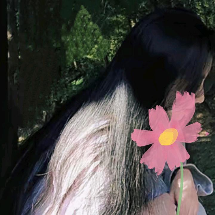 可可