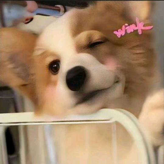 🌈夜夜💎家的小娇妻🍭