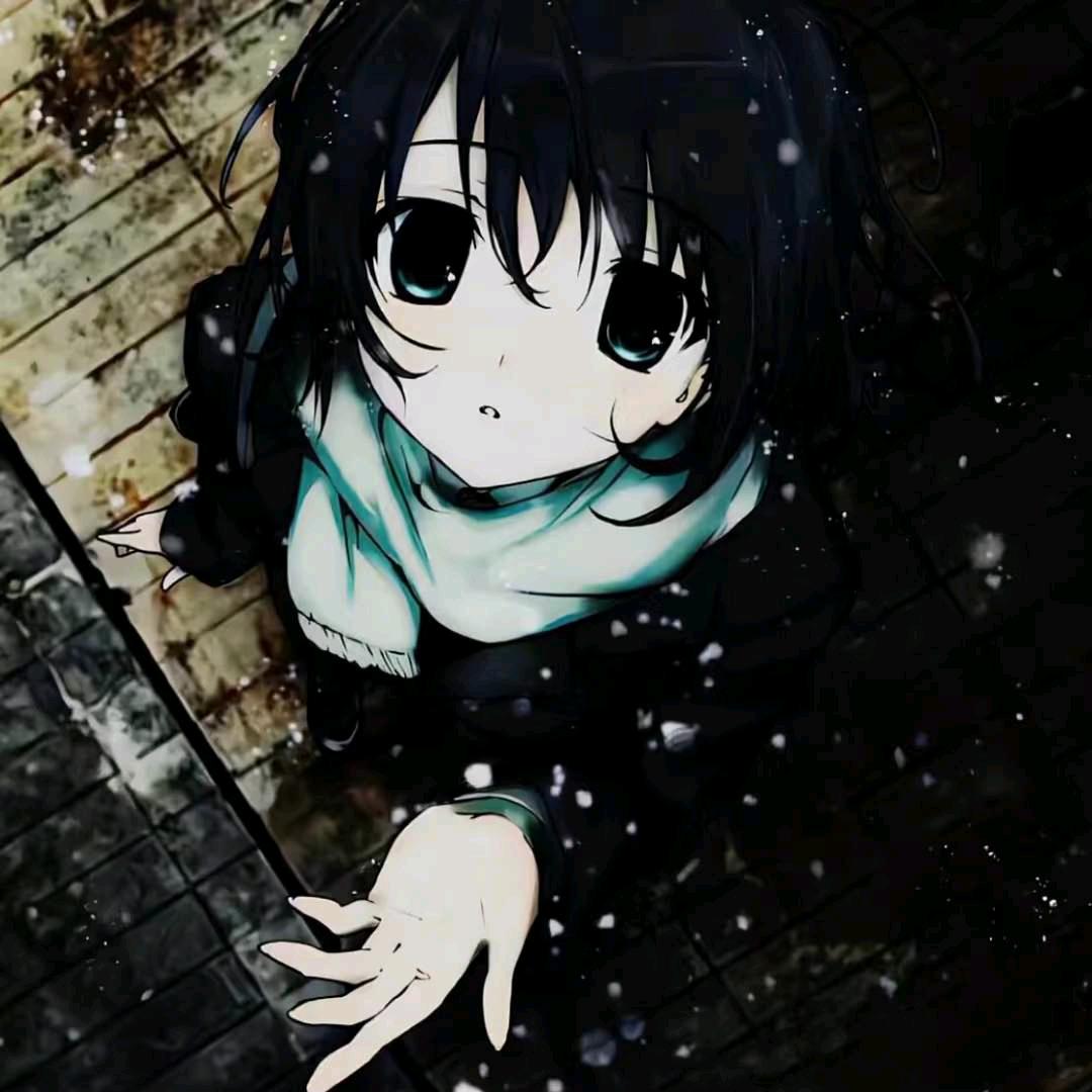 西本雪穗🦋