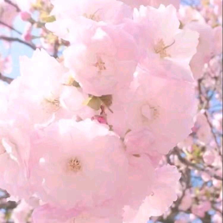 雄找有缘人
