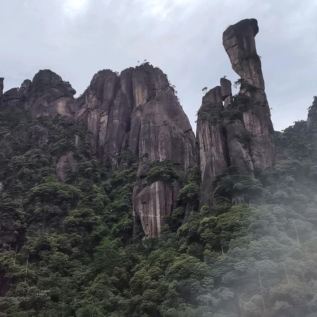 老七