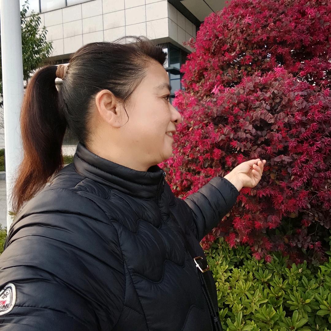 秦奶奶广场舞