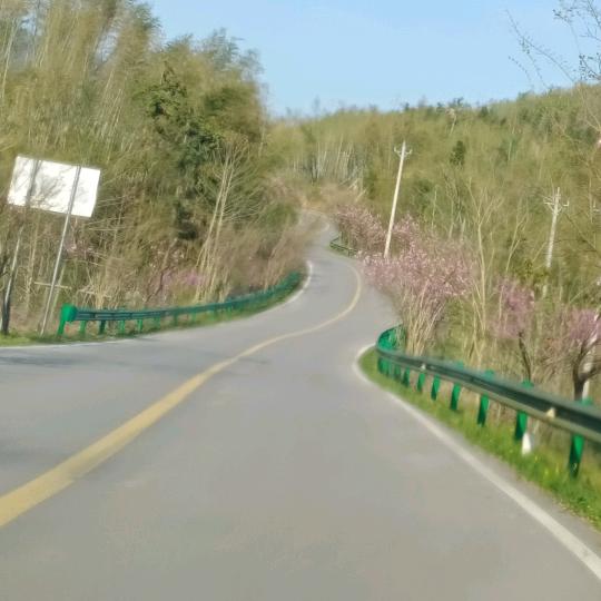 user4301439564670李子