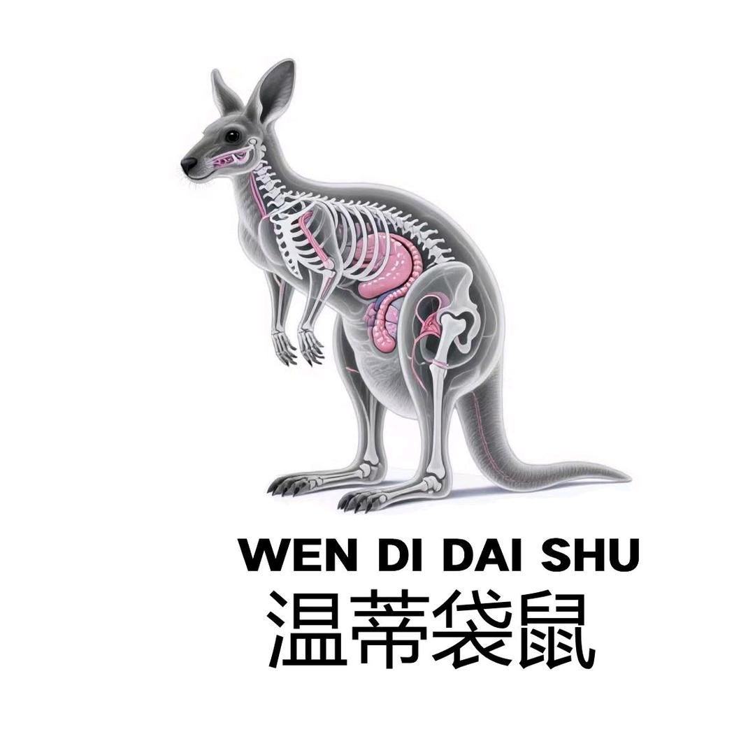 温蒂袋鼠工厂店