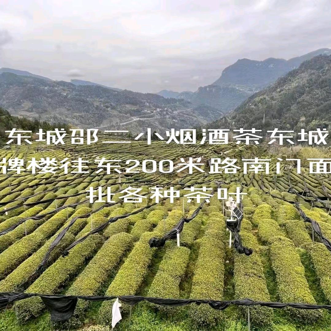 邵二小烟酒茶