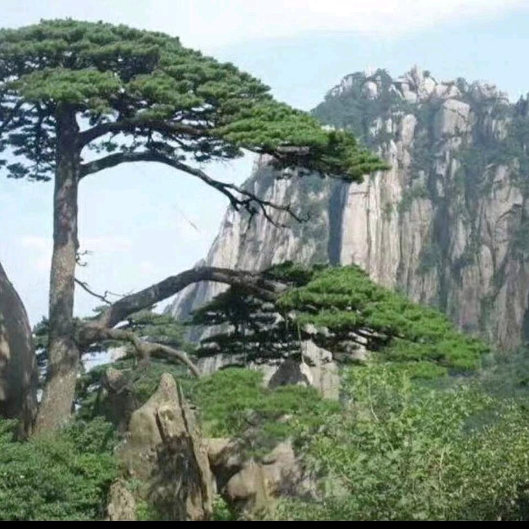过眼云烟(明明说情感)