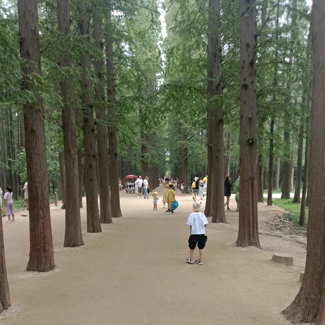 保航汽修