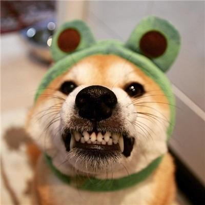 左手雷王