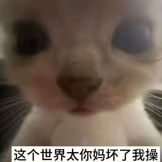 遇到困难睡大觉