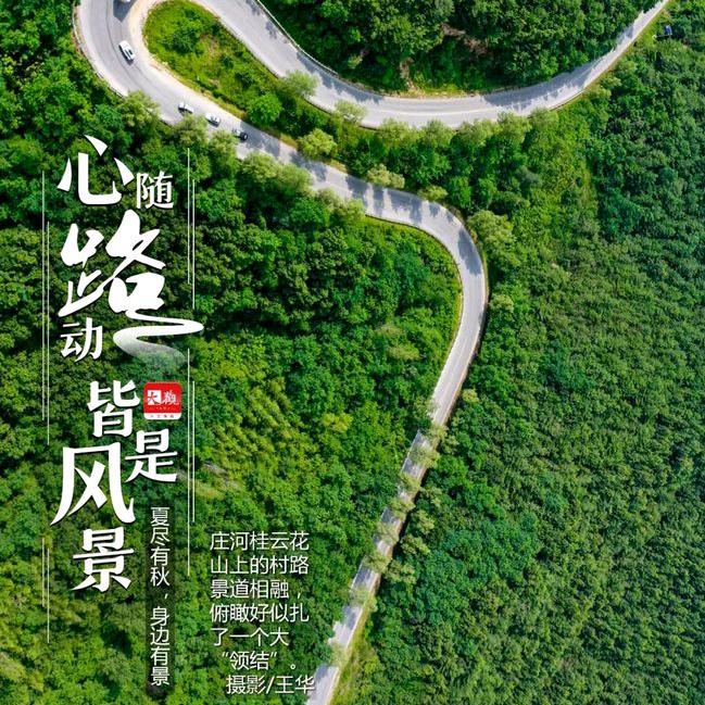 大大怪刑头像