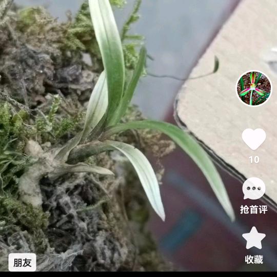 用户6613018425272