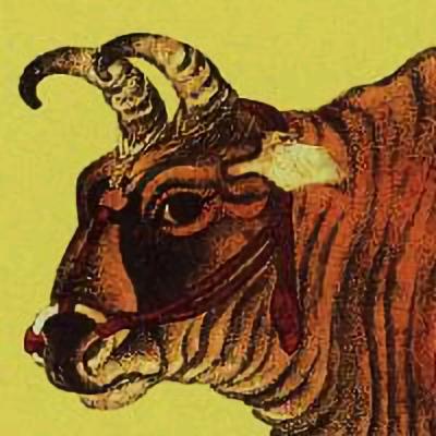 𒐫 𒐫𒐫𒐫𒐫𒐫𒐫𒐫𒐫∽