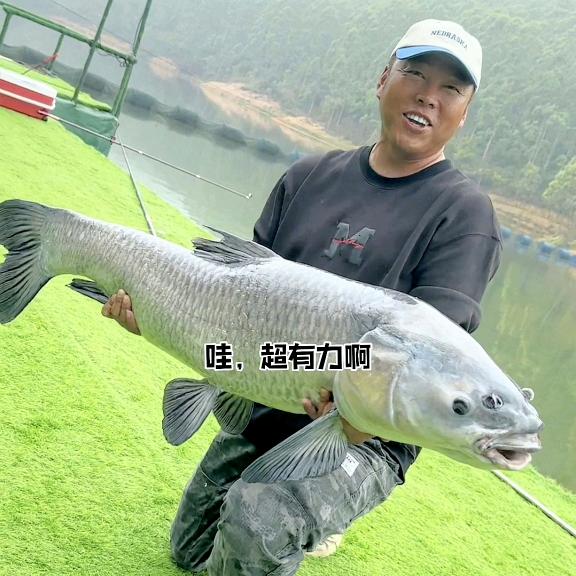 蚂蚁哥钓鱼