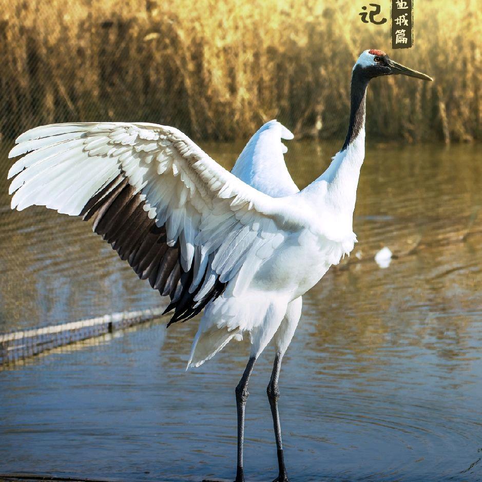 坚持到底  。。。。。。