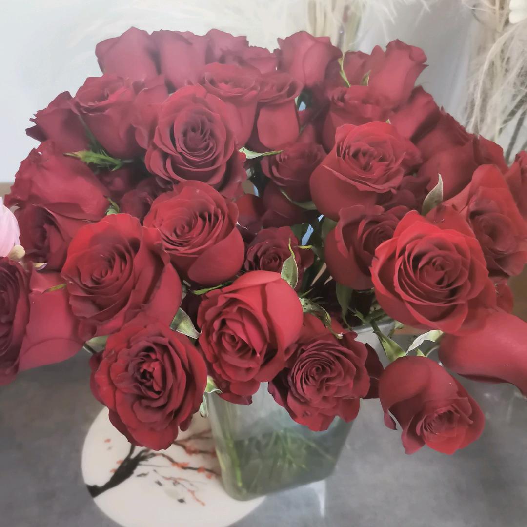 清扬风景💖💝