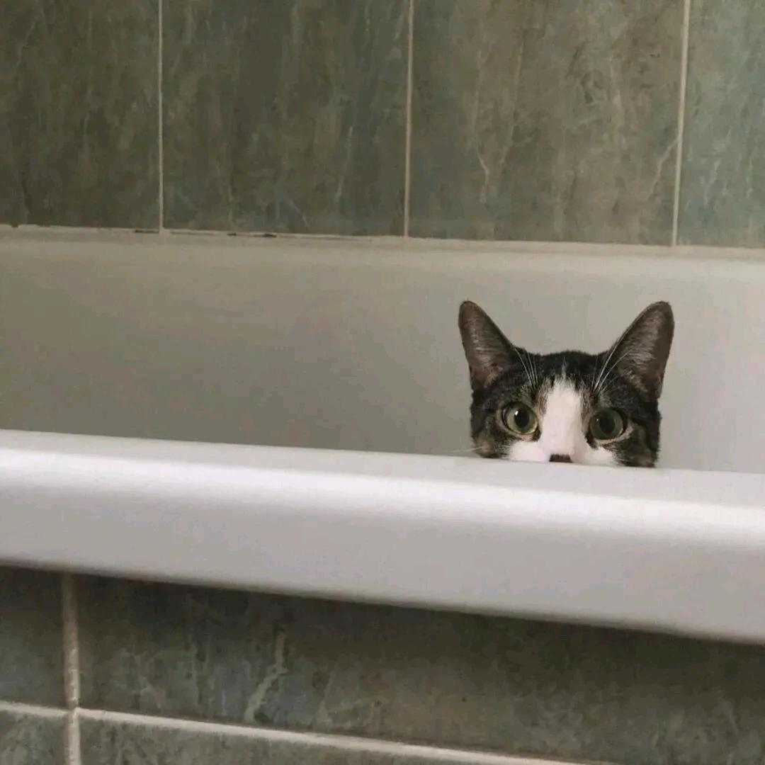 ᵒᵐᵍ