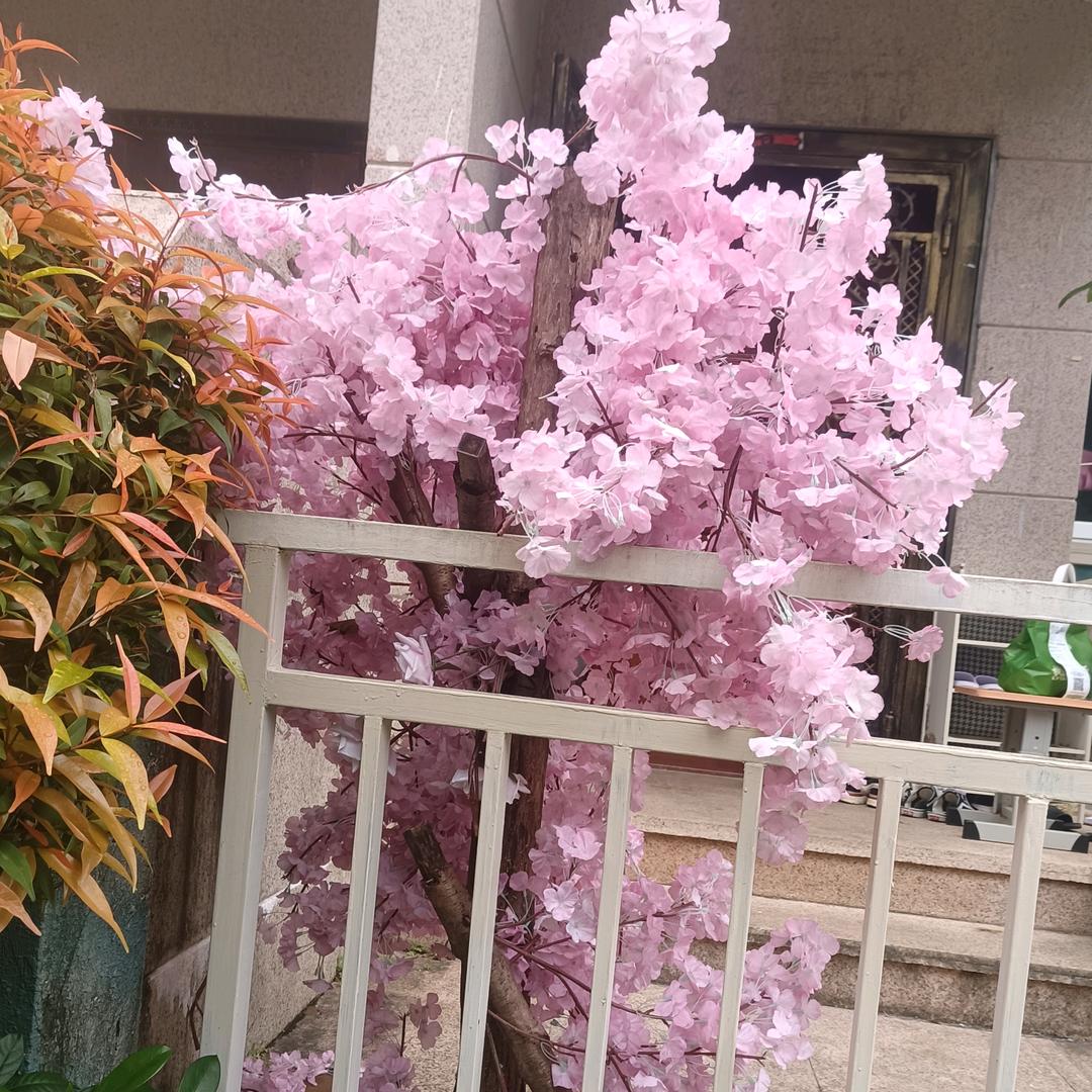 ༺ཌༀཉི星冰乐༃ༀད༻