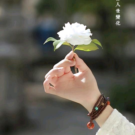心诺止水