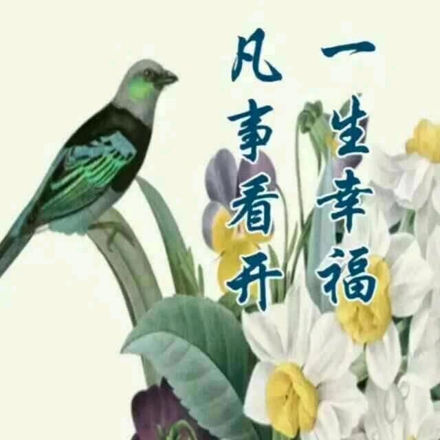 顺哥金丝楠木苗种植基地