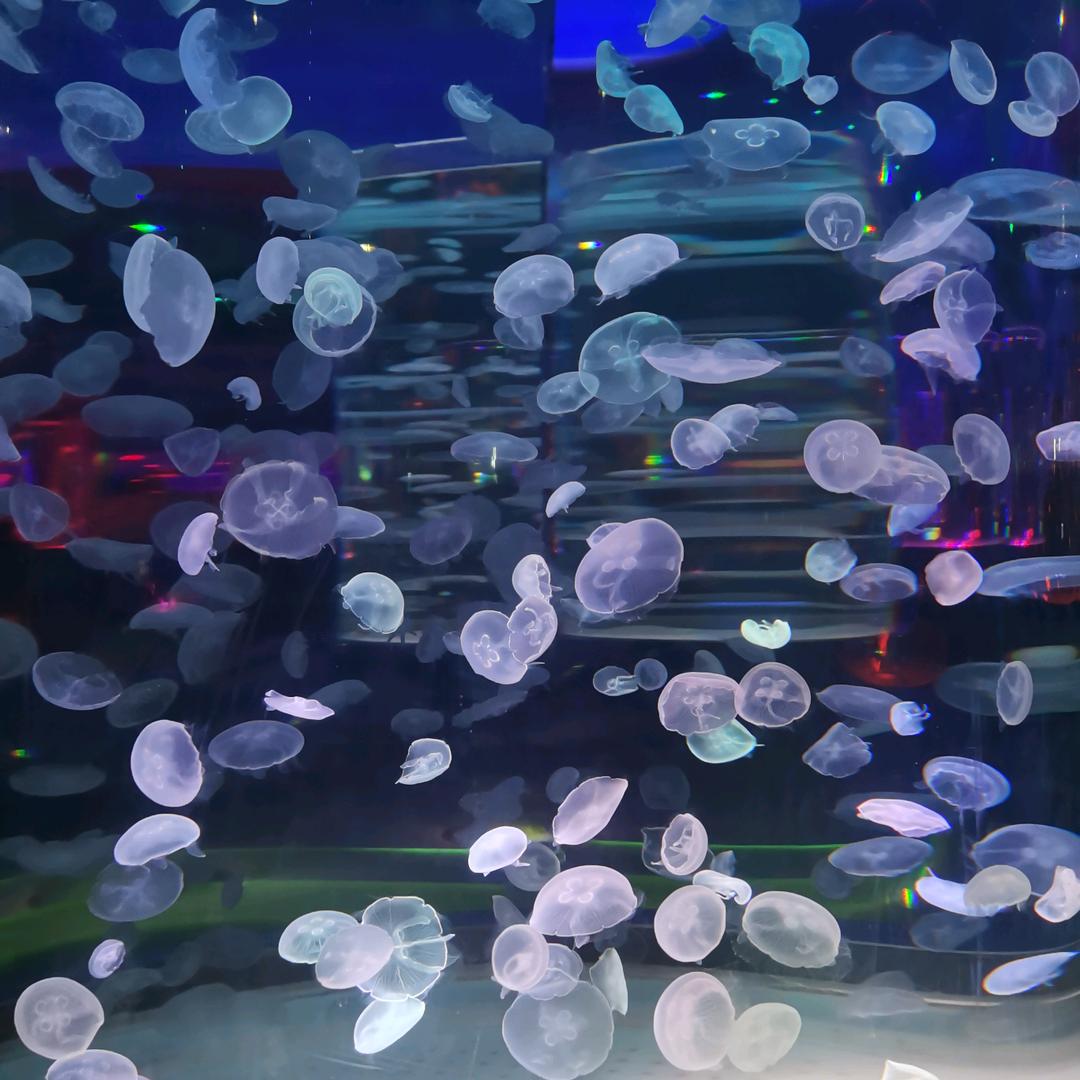 海上清风