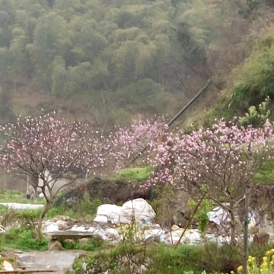 《漂洋过海来看你》。清洗油烟机