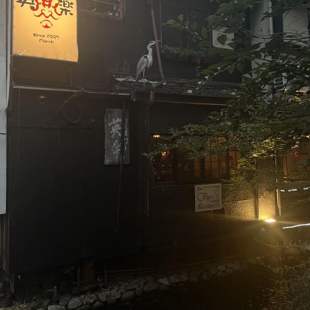 知道