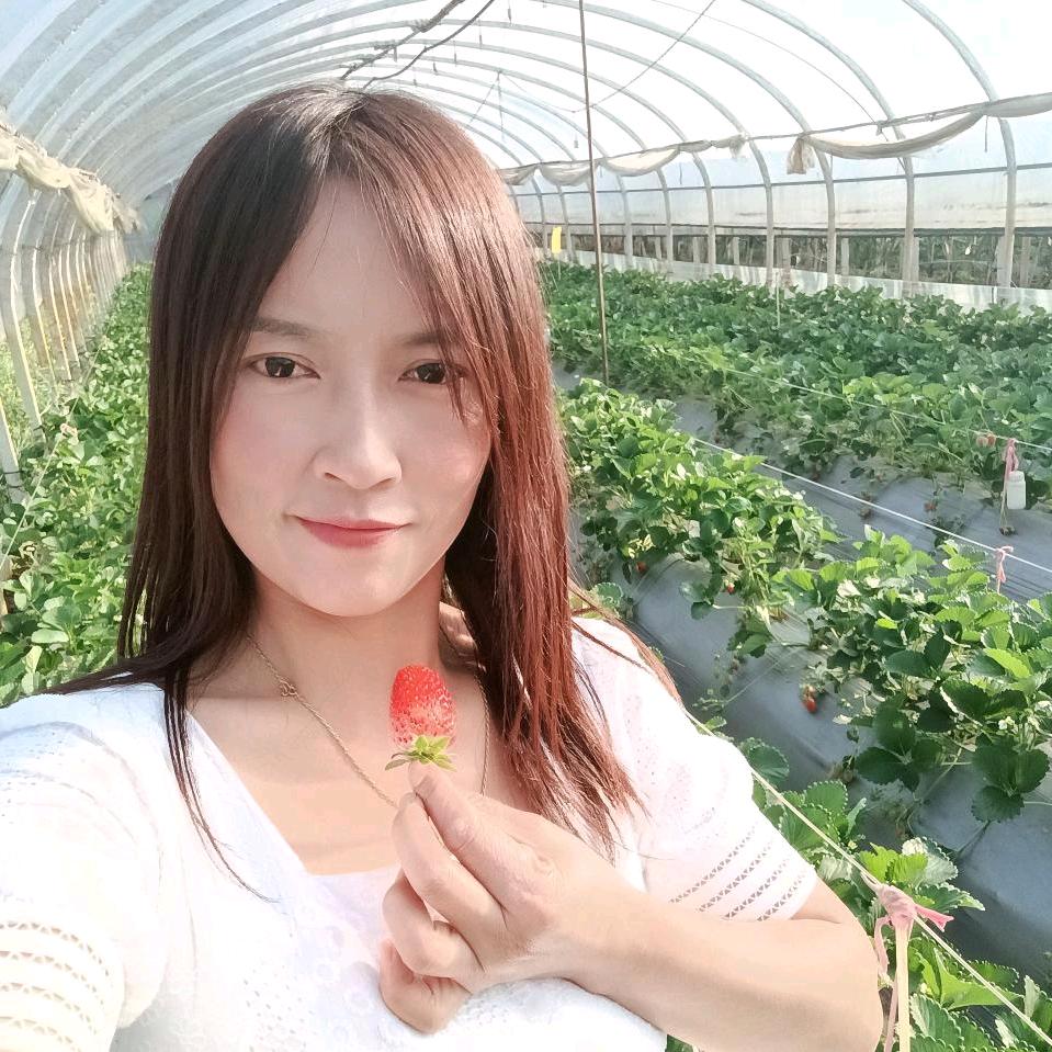 自由的飞翔.🕊