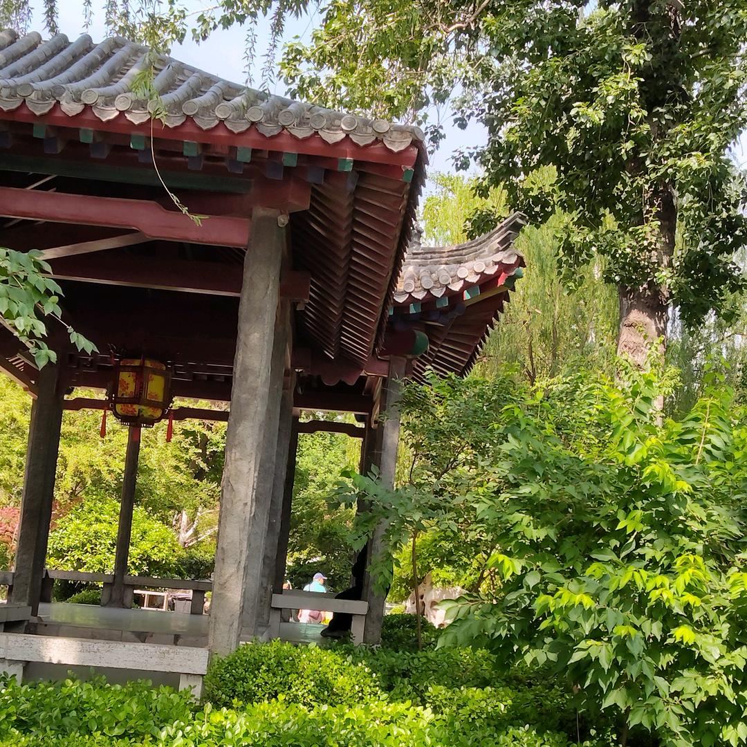 用户477380976