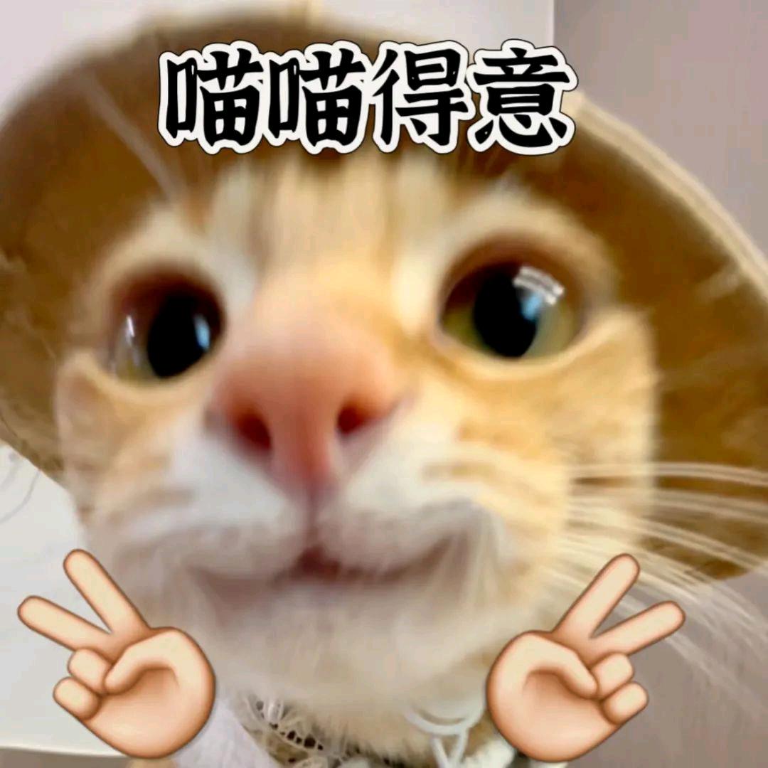 星星星