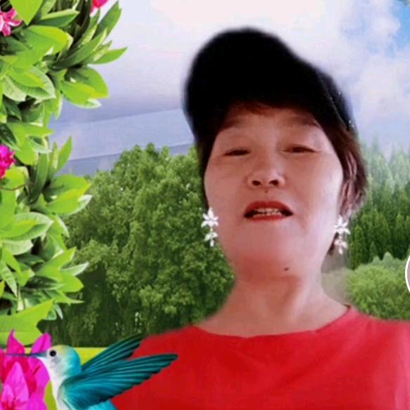 老大姐晚上7点10分直播