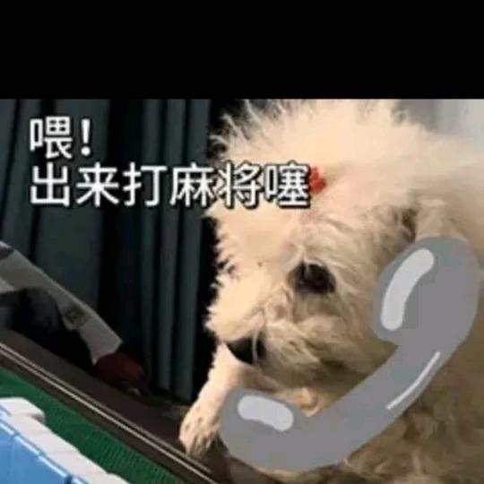 武威麻将搭子