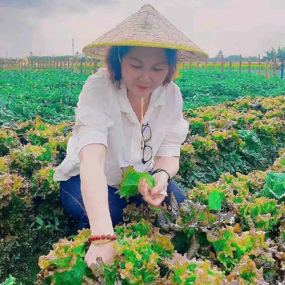 香子姐姐