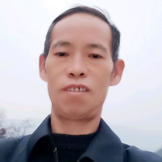 章哥