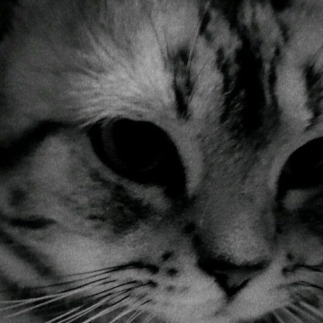 灾年
