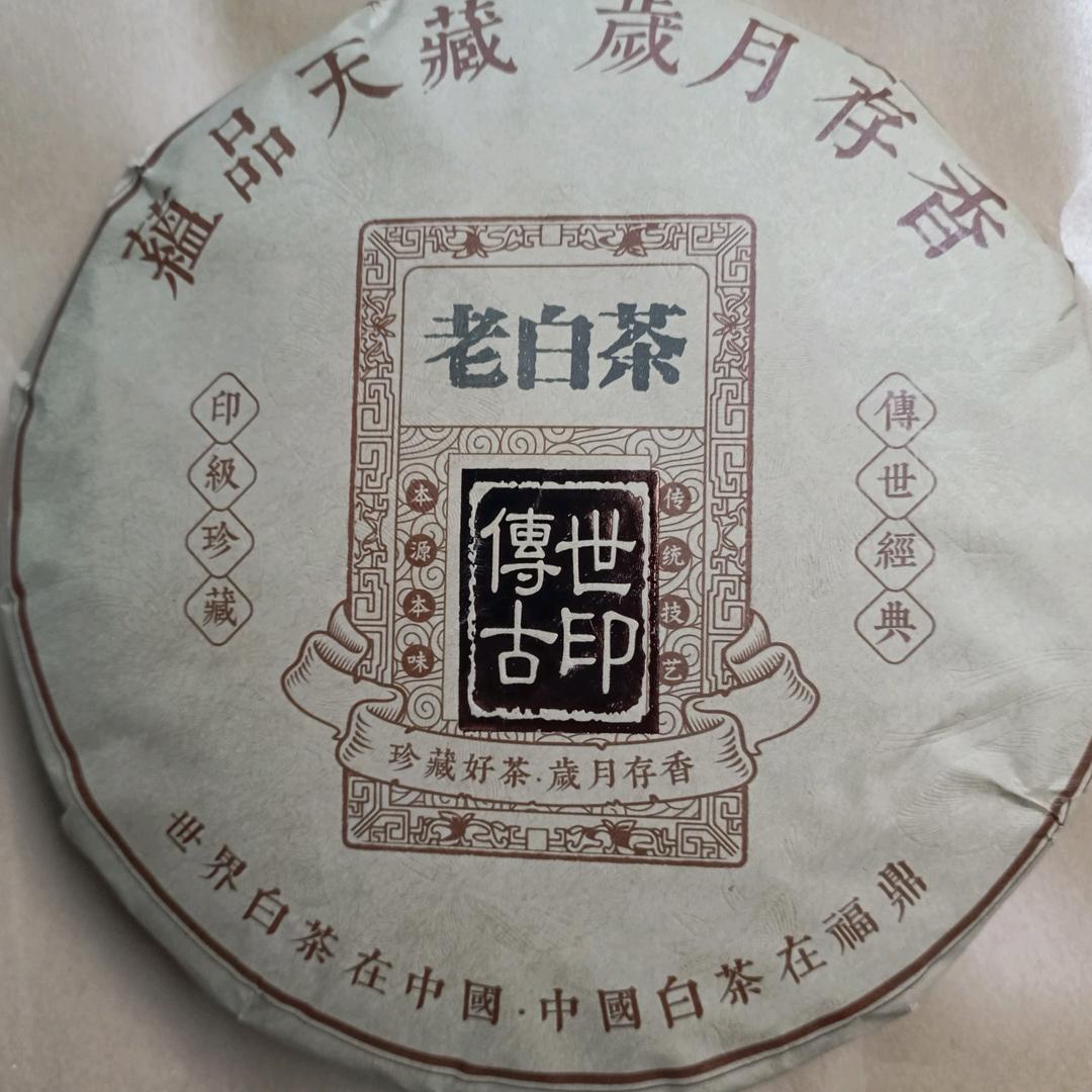 白茶娃娃